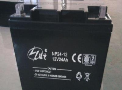 蓝肯12V24AH